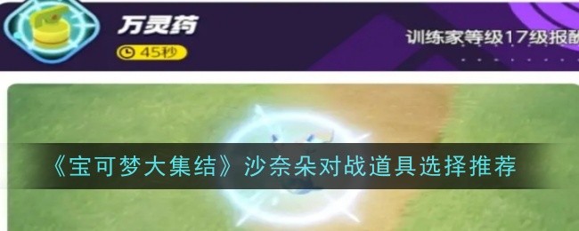 宝可梦大集结沙奈朵对战道具选哪个