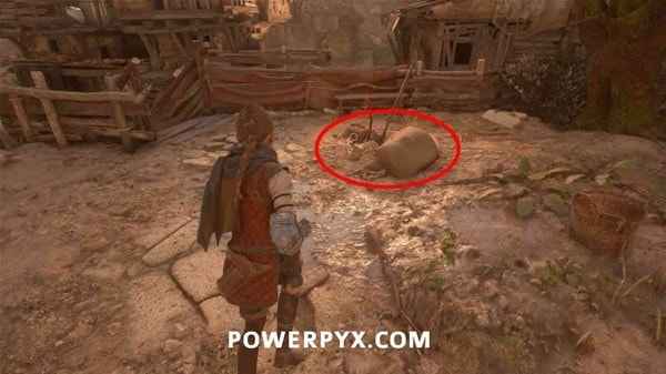 《瘟疫传说安魂曲》雨果标本收集全攻略：包含花和羽毛位置详解