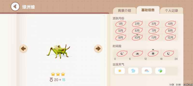 心动小镇捕虫图鉴位置全攻略
