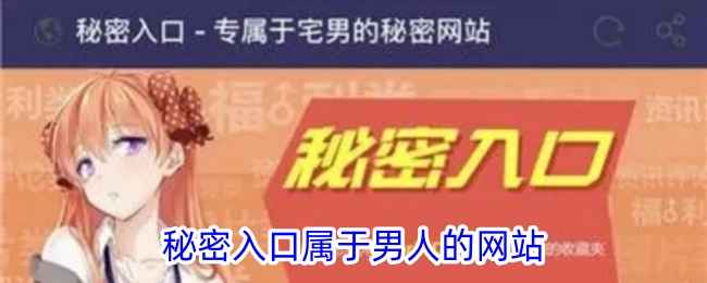 宅男专属社交空间：“秘密入口”的虚拟世界探索