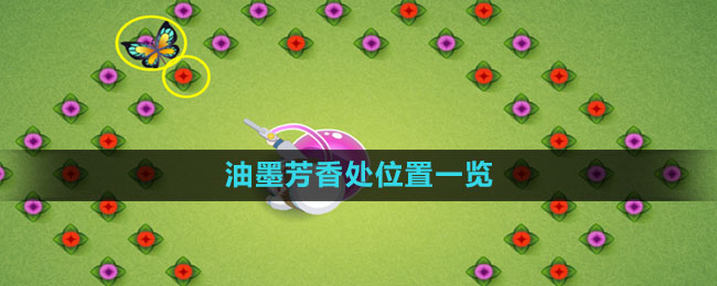 奥比岛里的秘密花园