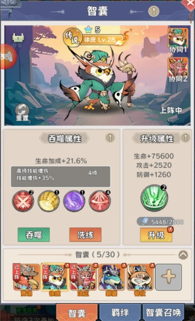 探探猫大作战智囊培养全攻略