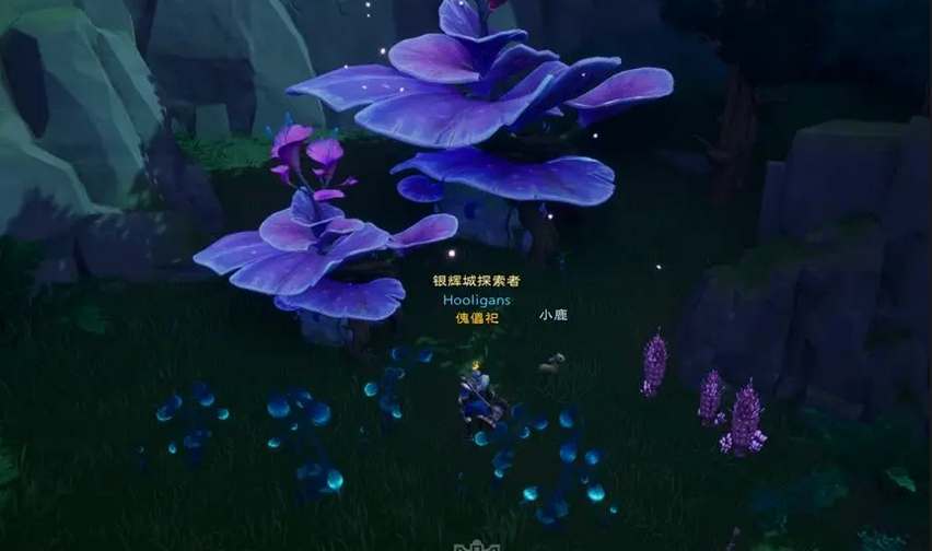 塔瑞斯迷雾森林宝箱获取与钥匙位置详解