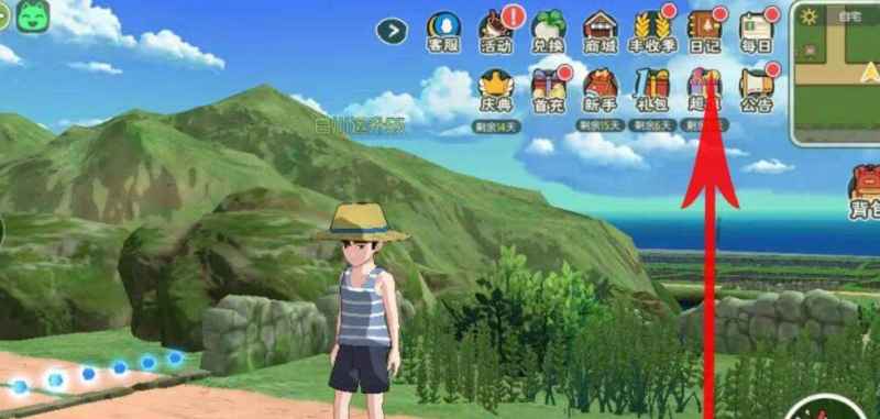 小森生活祈愿符使用方法全攻略：新手必看教程