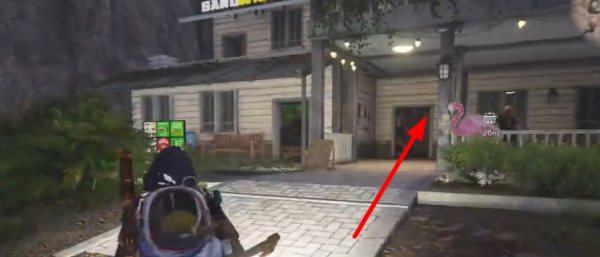 七日世界洋葱种子获取指南：从商店购买到种植利用