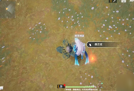 幻塔西兰花采集全攻略