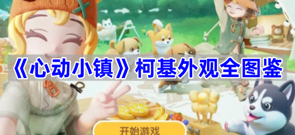心动小镇柯基全图鉴：萌宠新皮肤大公开