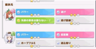 培养大和赤骥的关键策略:速度与智力的双重视角