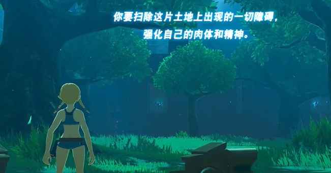 塞尔达传说王国之泪初级剑之试炼通关全记录