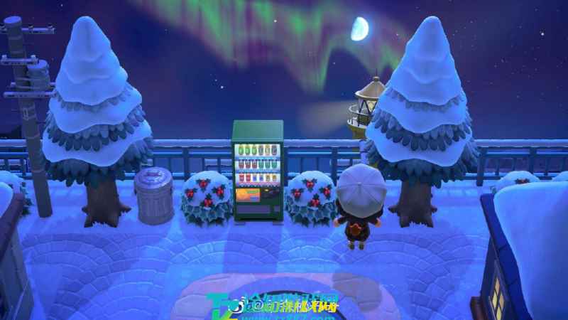 动物森友会极光出现时间介绍：如何捕捉梦幻极光