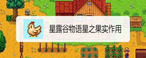 星露谷物语星之果实的秘密