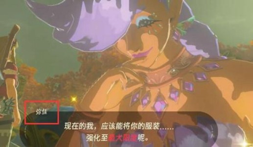 塞尔达传说王国之泪:大精灵之泉的位置、开启方法及费用详解