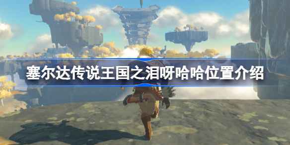 塞尔达传说王国之泪呀哈哈位置全解析