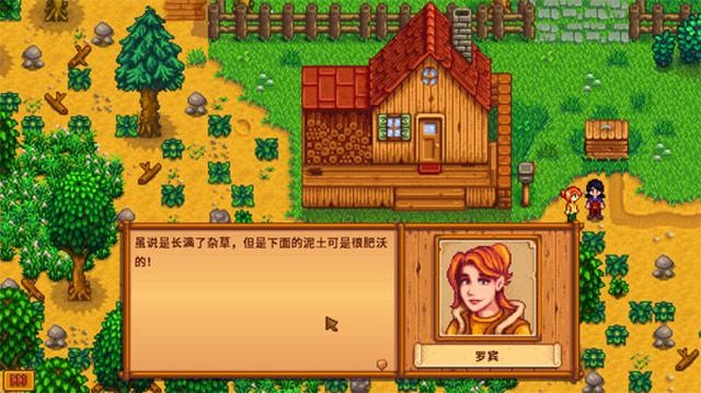 星露谷联机全攻略：从入门到解决常见问题，与好友共享农场乐趣