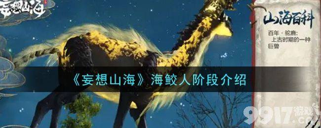 妄想山海海鲛人养成全攻略