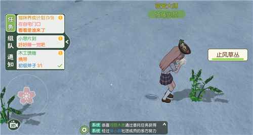 小森生活止风草快速定位指南