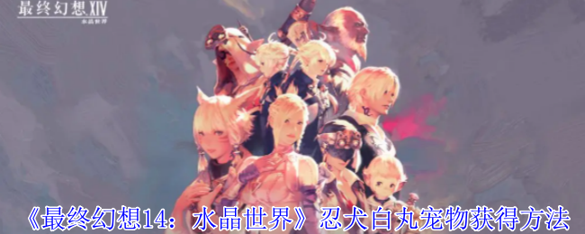 《最终幻想14：水晶世界》忍犬白丸宠物怎么得