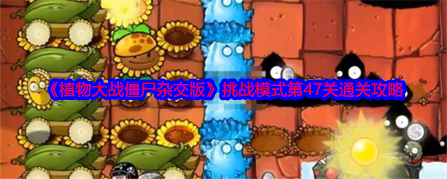 屋顶挑战：植物大战僵尸杂交版第47关攻略