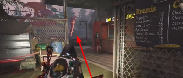 七日世界洋葱种子获取指南：从商店购买到种植利用