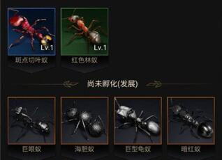 小小蚁国最强特化蚁大揭秘