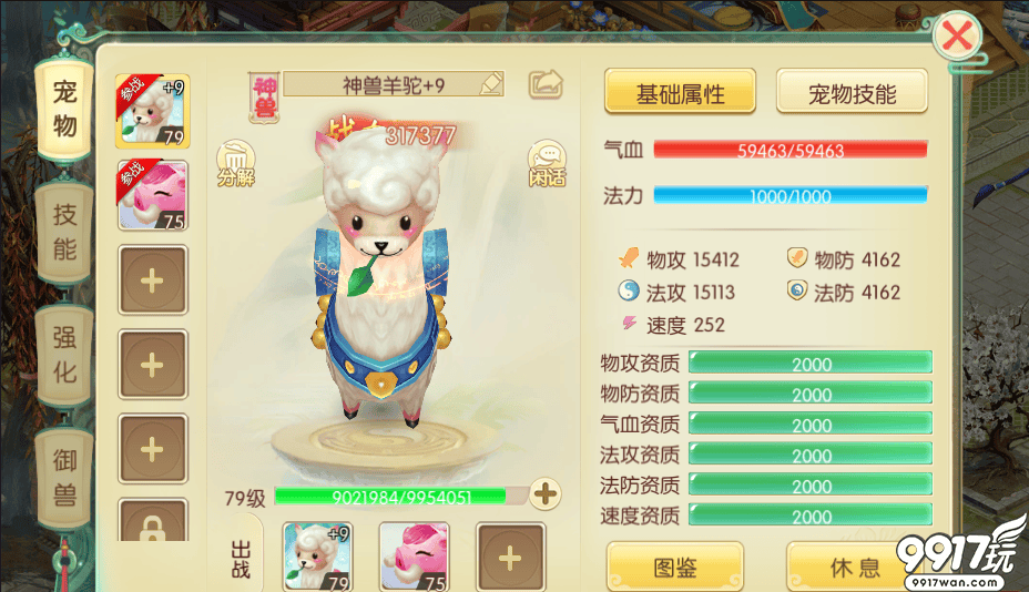 宠物培养秘籍：让你的小伙伴战斗力飙升