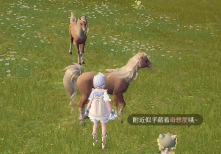 无限暖暖贵族卷毛在哪采集-贵族卷毛作用及采集方法