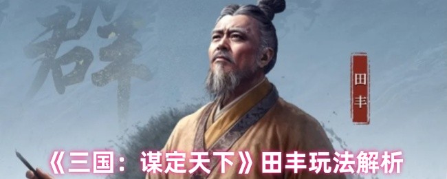 三国谋定天下田丰怎么样-田丰玩法解析