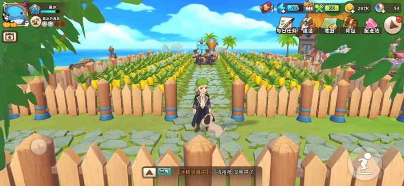 悠长假期向日葵种植全攻略：获取、种植与收获心得