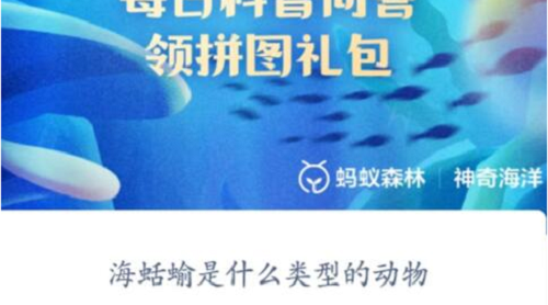 揭秘海蛤蜍：变色逃生的神奇海洋生物