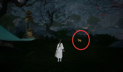 射雕手游无定坊宝藏地图全攻略