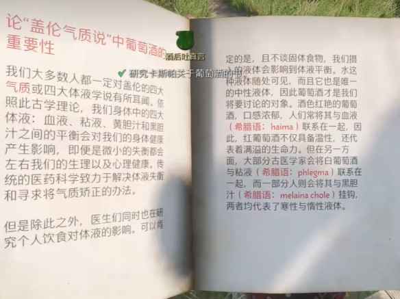 天国拯救2酒后吐真言支线任务全流程解析