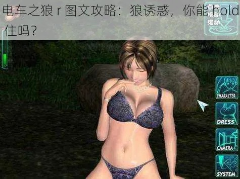 电动之狼R存档全攻略：从入门到精通