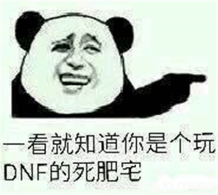 玩DNF的都是死肥宅吗,揭开游戏玩家的真实画像,打破刻板印象