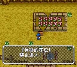 牧场物语矿石镇的力之果实到底怎么拿？
