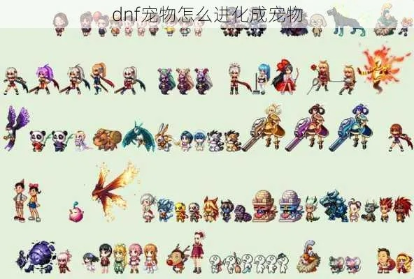 DNF进化宠物解析,如何培养最强战斗伙伴